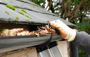 gutter cleaning South End