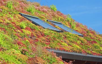 South End living roof systems